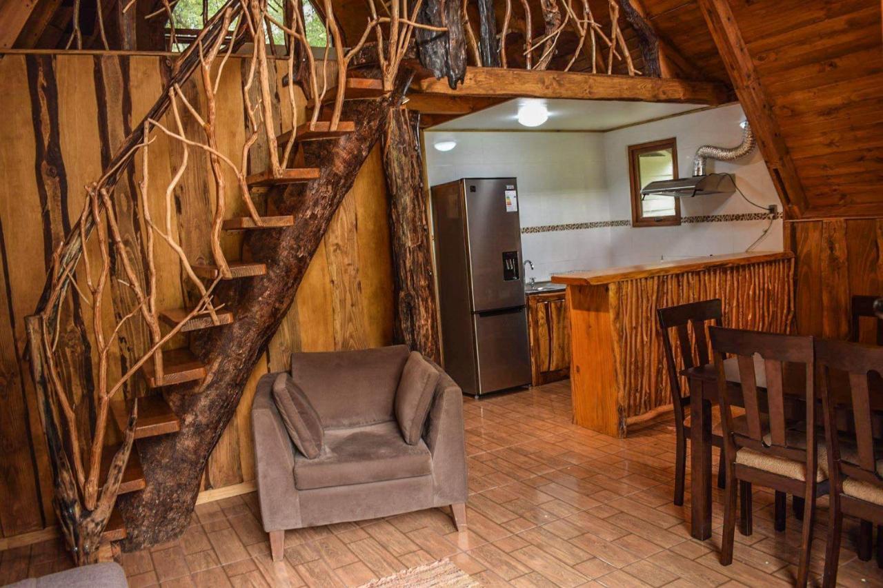 Cabanas Ecoturismo La Pancha Puerto Aysen Kültér fotó