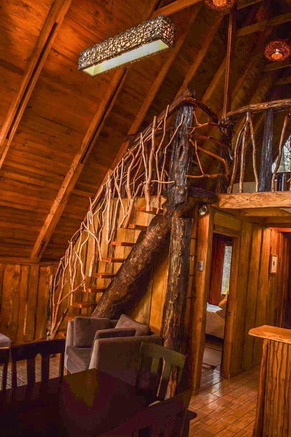 Cabanas Ecoturismo La Pancha Puerto Aysen Kültér fotó